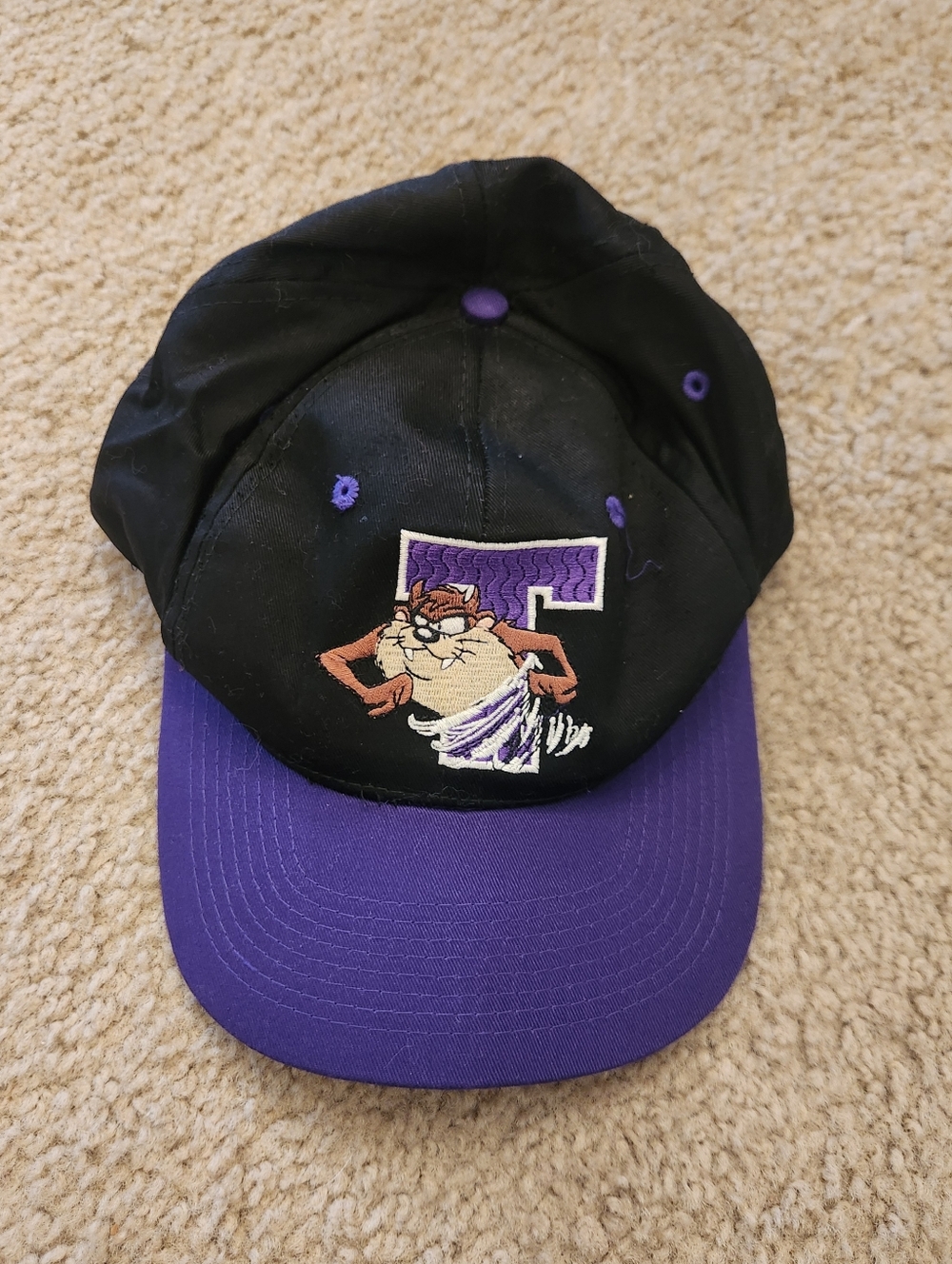 Vintage 1995 Taz Tasmanian Devil‎ Snapback Hat Adjustable Embroidered